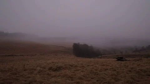 Misty countryside fields 2 Stock Footage 71389504