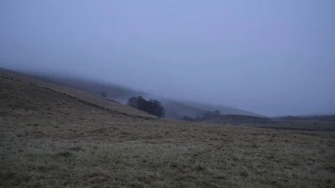 Misty countryside fields 5 Stock Footage 71391996