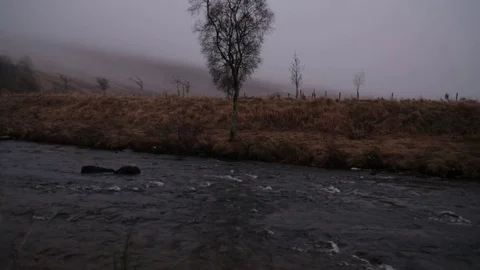 Misty countryside river 1 Stock Footage 71389992