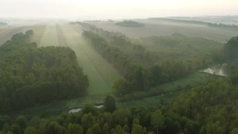 Misty dawn light illuminating forest and meadows Stock Footage 292263904