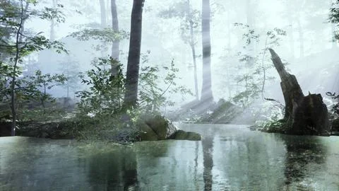 Misty dawn over Lake Forest Stock Illustration