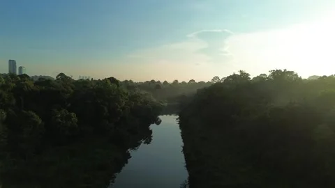 Misty dawn reveals a tranquil river winding through dense emerald forest wi.. Video stock 337280565