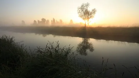 Misty dawn on the river with the first sunrays. Video with original sound - bird Stock Footage 89791430