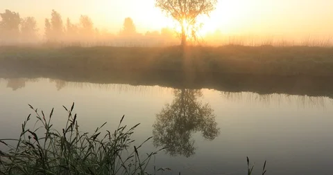 Misty dawn on the river with the first sunrays. Video with original sound - bird Vídeo Stock 89792496