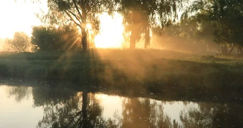 Misty dawn on the river with the first sunrays. Video with original sound - bird Vídeos de archivo 89795821