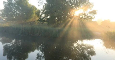 Misty dawn on the river with the first sunrays. Video with original sound - bird Vídeo Stock 89797196