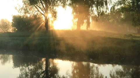 Misty dawn on the river with the first sunrays. 库存影片 100588331