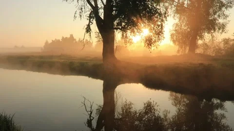 Misty dawn on the river with the first sunrays. Stock Footage 100588357