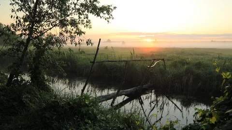 Misty dawn on the river with the first sunrays. Video with sound - bird song. Vidéo 106321820