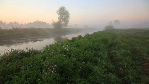 Misty dawn on the river Stock Footage 72302686