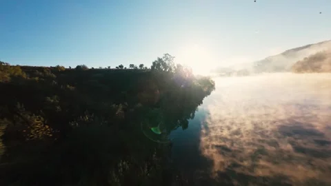Misty dawn with sun peeking through forest canopy Video stock 342269791