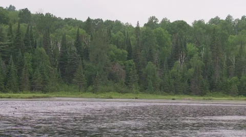 Misty day on the lake Stock Footage 8556995