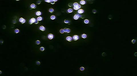 Misty De-focused Glowing Lights Vídeo Stock 38850962