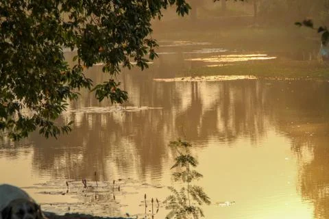 Misty down at the river Stock Photos