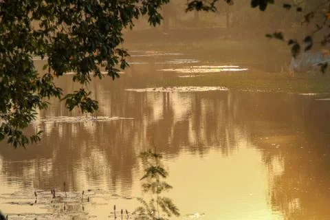 Misty down at the river Stock Photos