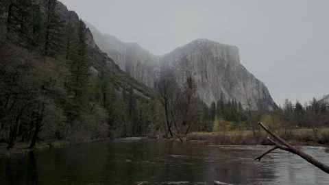 Misty El Capitan over the Merced River with dead branch Stock Footage 347987341
