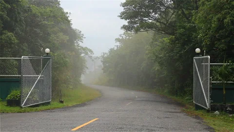 Misty empty road Stock Footage 284975157