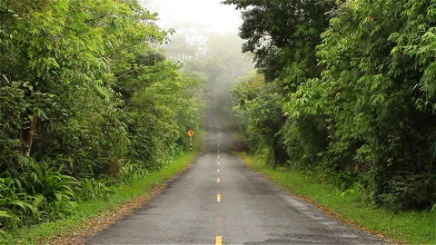 Misty empty road Stock Footage 284975201
