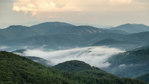 Misty evening above clouds moving in green forest valley time lapse Stock-Footage 70629167