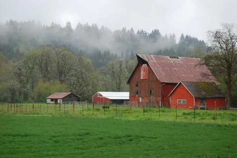 Misty farm Foto stock