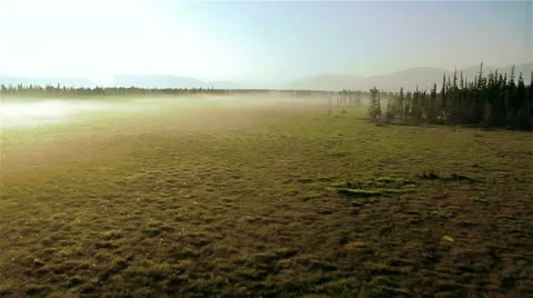 Misty field in mountains Stock Footage 12553291