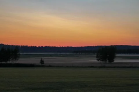 Misty field Stock Photos