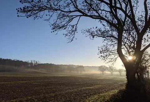 Misty Field Stock Photos