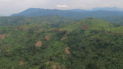Misty flight over patchwork of crop fields on steep jungle hillsides Video stock 164274046