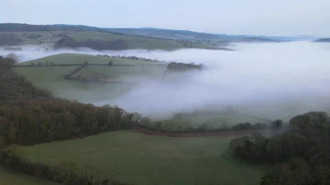 Misty Forest 2 Stock Footage 185107639