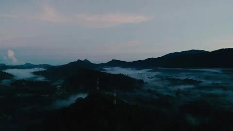 Misty Forest 2 Vídeo Stock 288237086