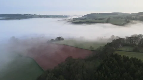 Misty Forest 3 Stock Footage 185109219