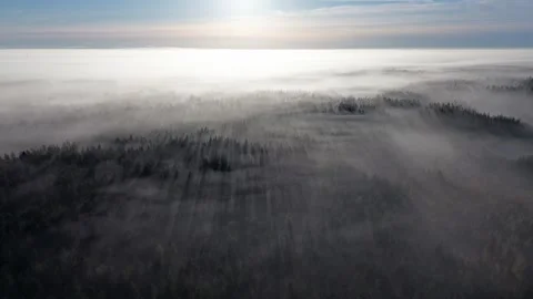 Misty forest aerial at dawn Stock Footage 286707988