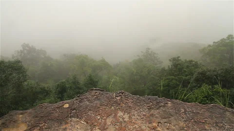 Misty forest and cliff Stock Footage 283905391