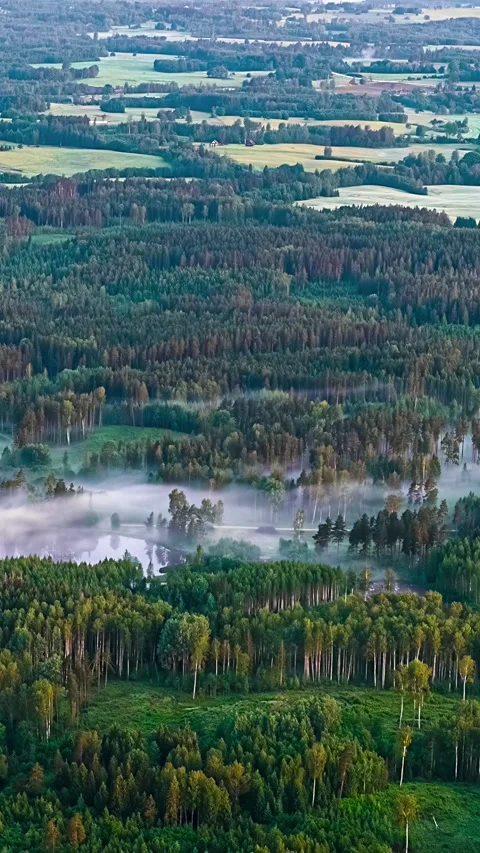 Misty Forest and Rural Fields at Sunrise Vídeo Stock 331113068