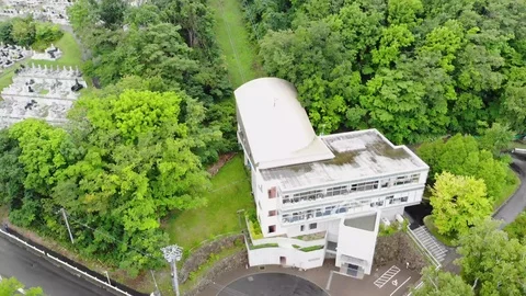 Misty forest cable car Stock Footage 122593867