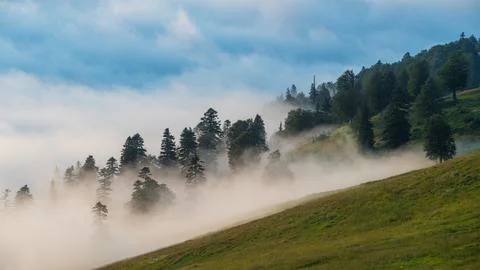 Misty forest canopy with sunbeams piercing through the fog at dawn. Adjara .. Stock Photos