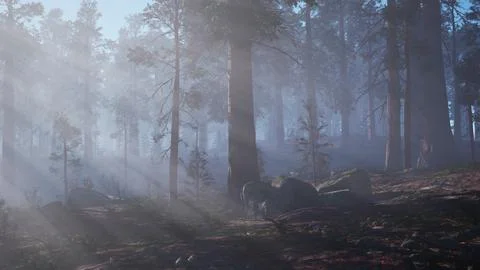 Misty Forest at Dawn Stock Illustration
