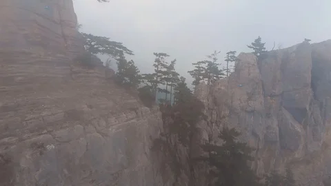 Misty forest, drone flying through the clouds at the top of mountain, aerial Stock-Footage 104107097