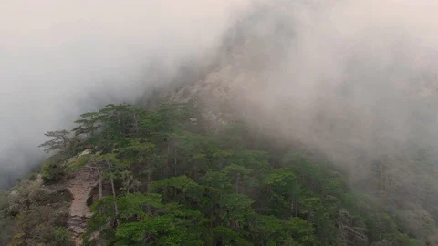 Misty forest, drone flying through the clouds at the top of mountain, aerial Stock-Footage 104544476