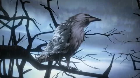 Into the Misty Forest 스톡 동영상 22345586