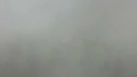 Misty forest 動画素材 165189976