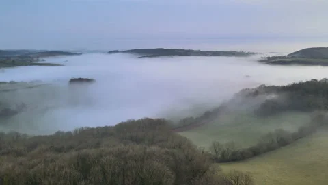 Misty Forest Stock Footage 185108820