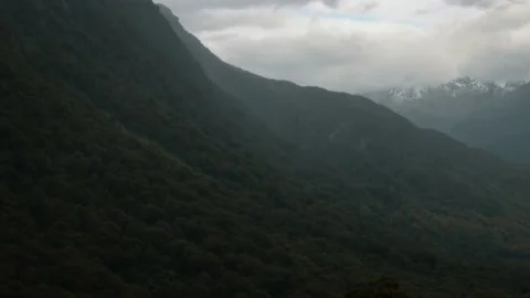 Misty Forest Hills Stock Footage 140611019