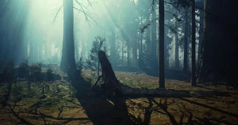 Misty forest landscape featuring dramatic light rays and shadows on the groun Stock Illustration