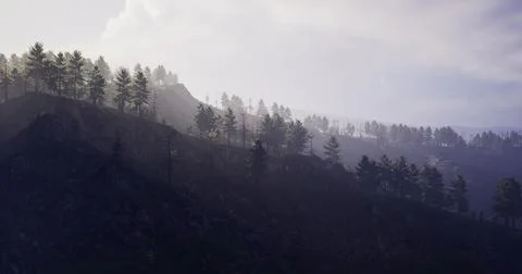 Misty forest landscape with light filtering through pine trees at dusk Stock Illustration