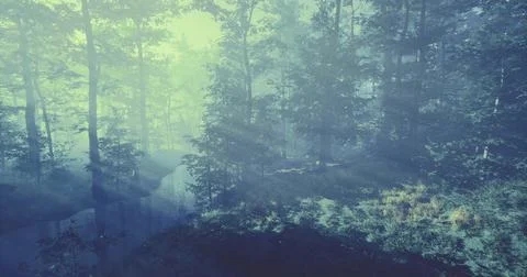 Misty forest landscape with soft sunlight filtering through trees Stock Illustration