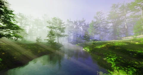 Misty forest landscape with sun rays illuminating a tranquil stream Stock Footage 306532434