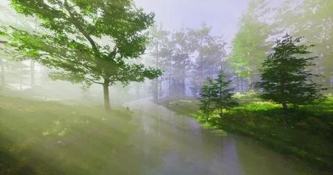 Misty forest landscape with sun rays illuminating a tranquil stream Stock Illustration