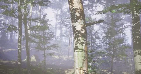 Misty forest landscape with sunlight filtering through lush green trees Stock Illustration