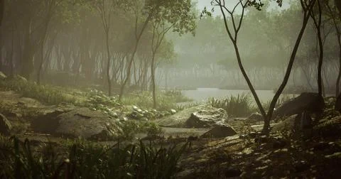 Misty forest landscape with a tranquil river in an early morning light Stock Illustration